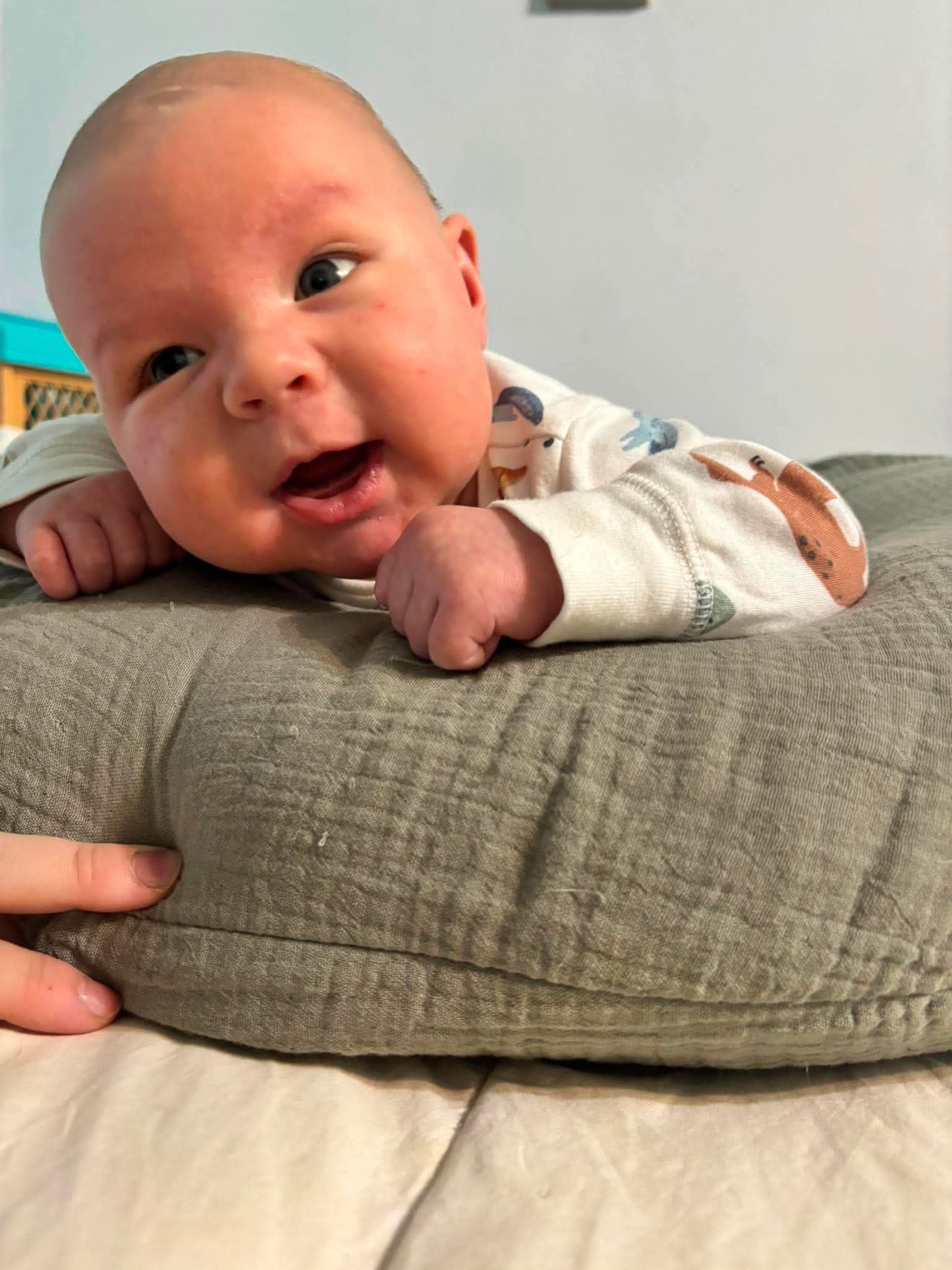 #Baby Owen Waffle💙💙